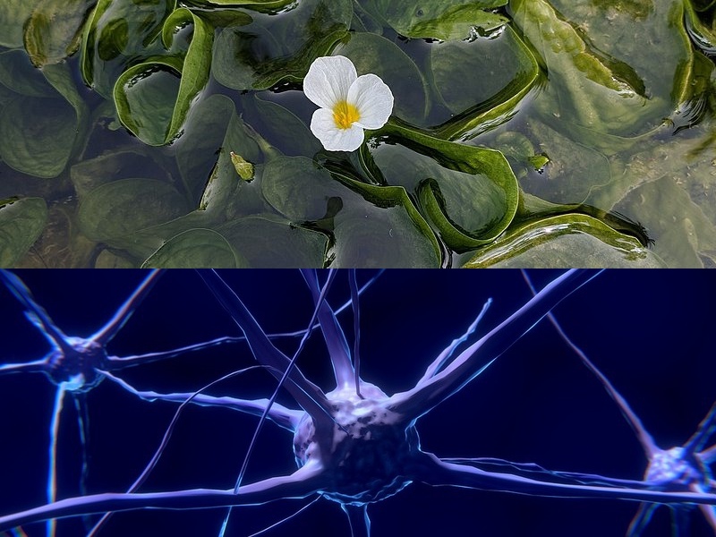 單片機(jī)方案開發(fā)