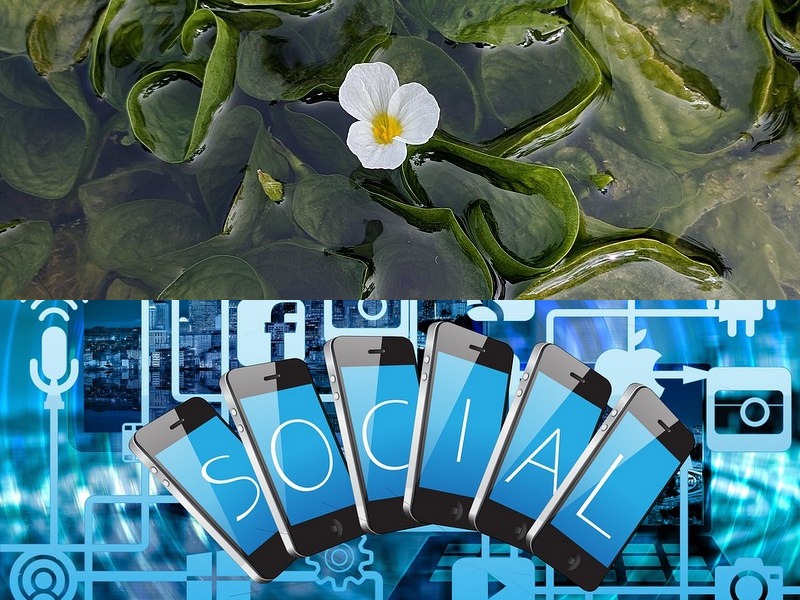 嵌入式應用開發(fā)