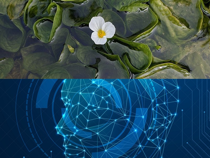 開發(fā)APP應(yīng)用程序