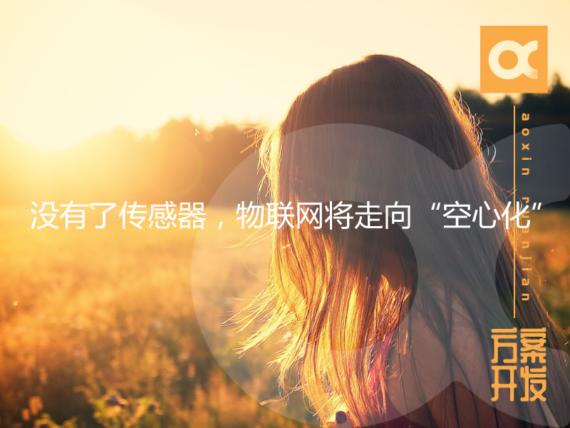 沒有了傳感器，物聯(lián)網(wǎng)將走向“空心化”