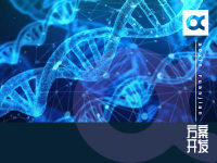 關(guān)于最新的智能手表，你不知道的秘密