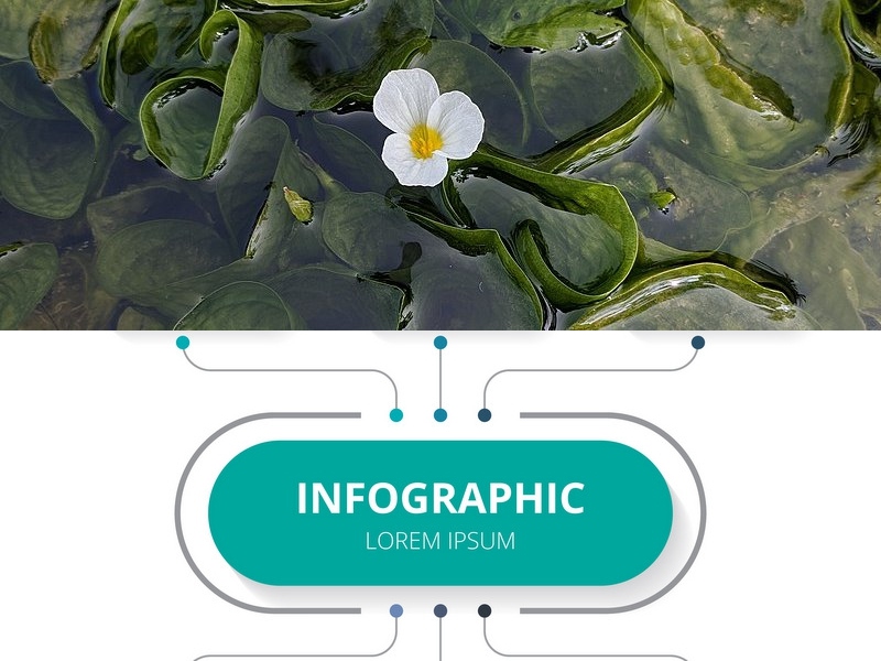 別墅區(qū)智能安防系統(tǒng)解決方案