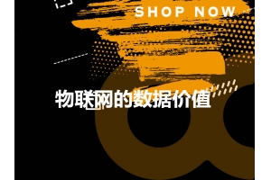 怎樣最大限度地發(fā)揮物聯(lián)網(wǎng)的數(shù)據(jù)價(jià)值？