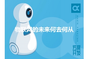 物聯(lián)網(wǎng)的未來何去何從？