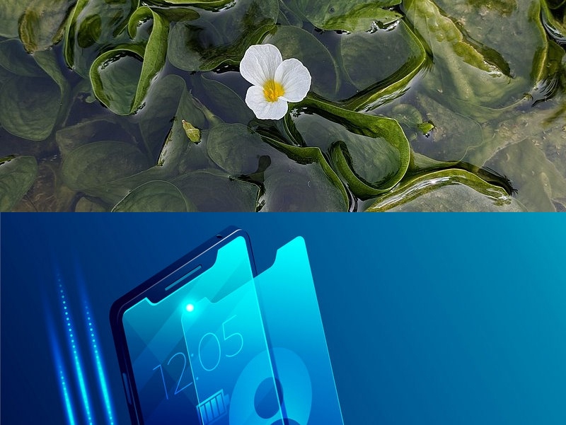 app軟件定制開發(fā)公司